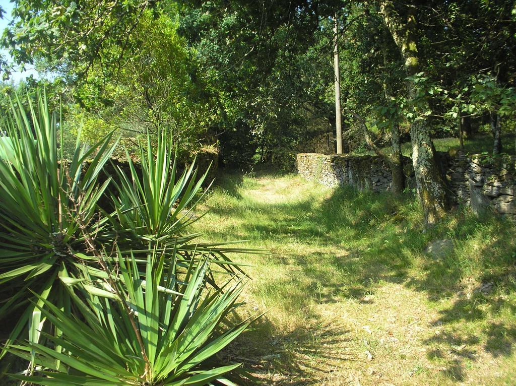 A Pena De Augasantas Casa de hóspedes Oca de Abaixo Exterior foto